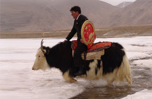 중국의 판사 근황_2.jpg