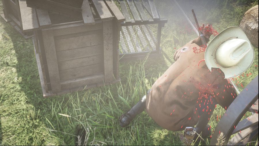 Red Dead Redemption 2 Screenshot 2020.06.10 - 03.49.04.96.png