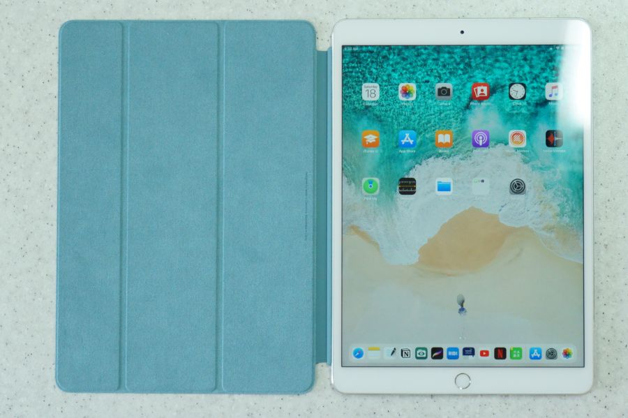 Apple iPad Smart Cover 캑터스_2.jpg