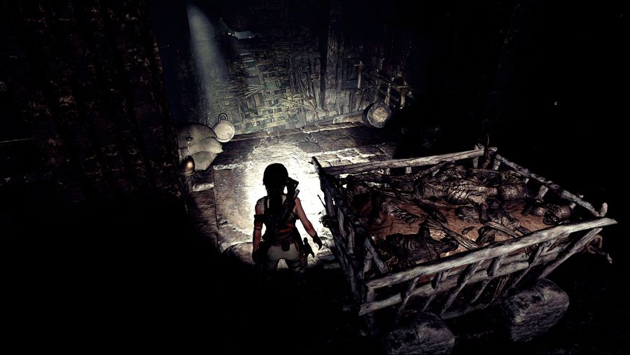 Shadow of the Tomb Raider (86).png