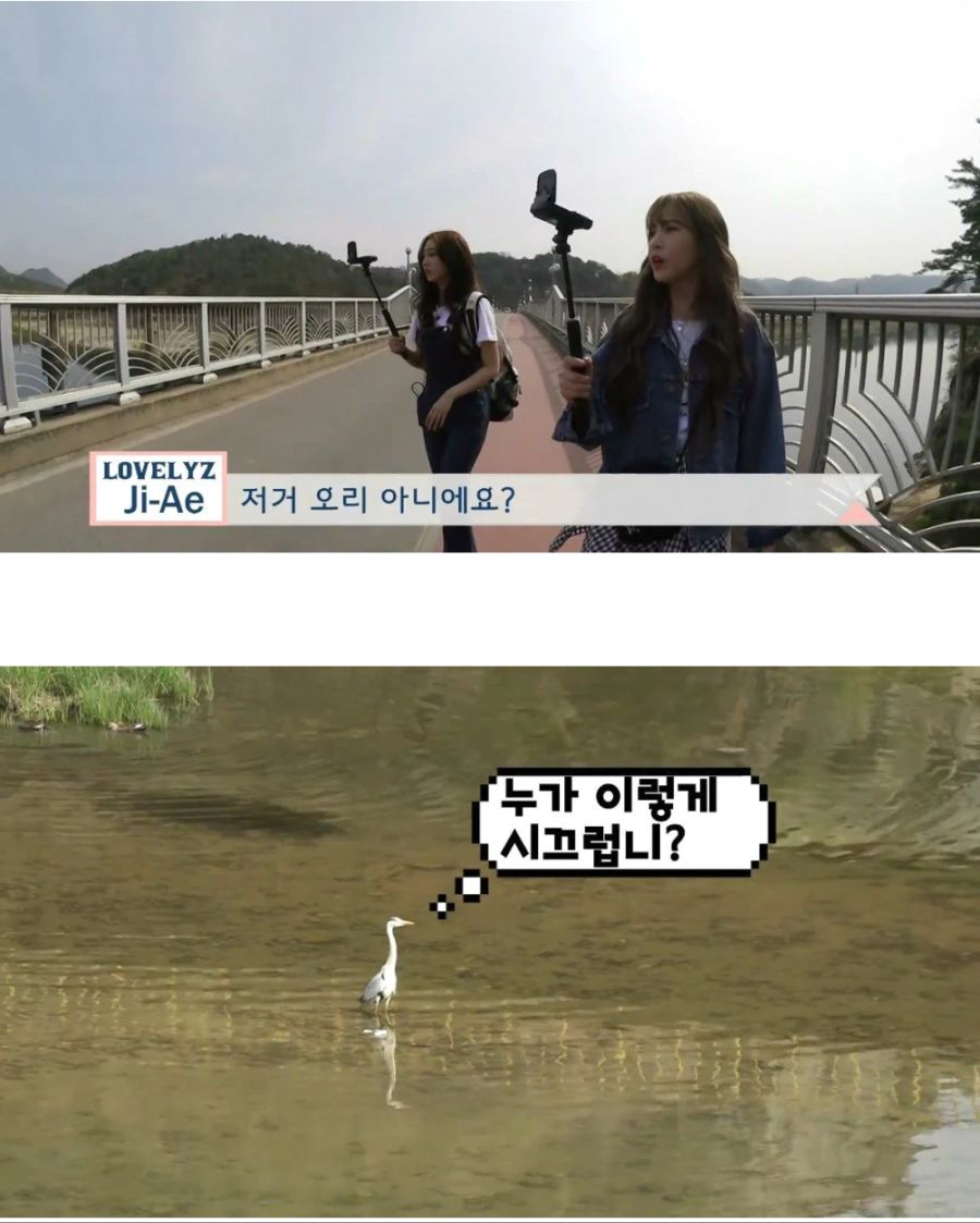 오리 밈 세대차.capture_1.png
