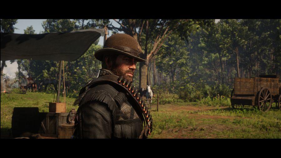 Red Dead Redemption 2 Screenshot 2020.06.10 - 15.10.10.34.png