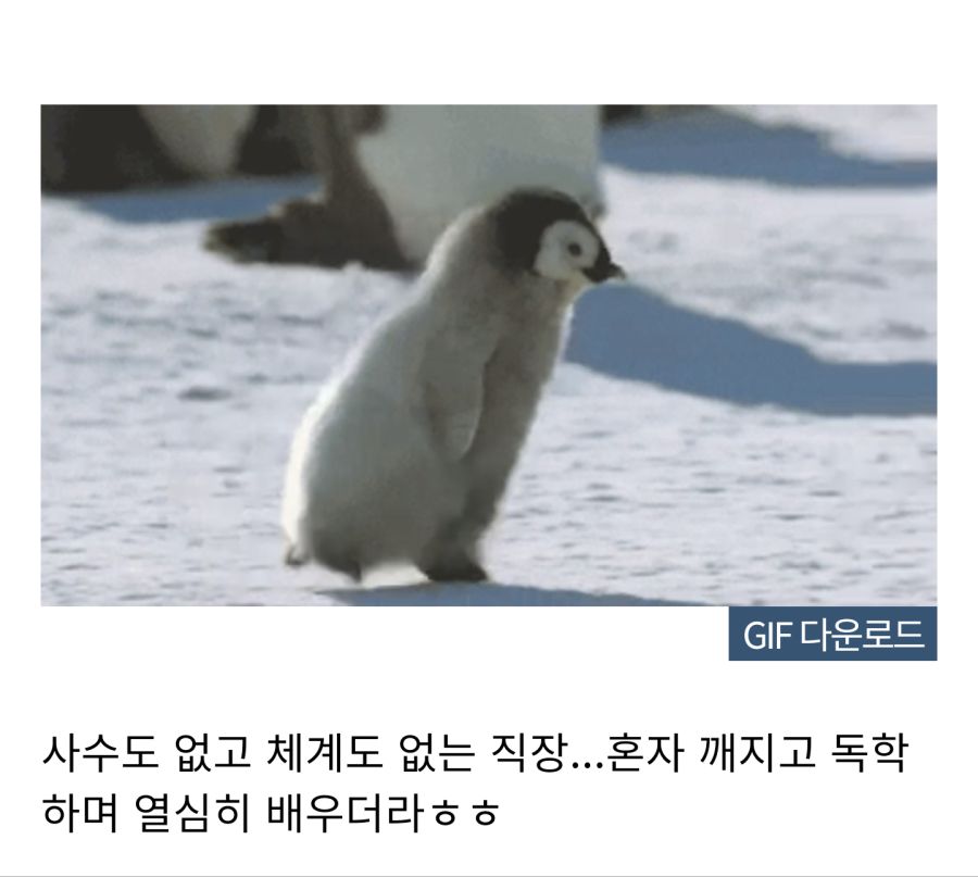중소기업에서 흔히 일어나는 일_2.png