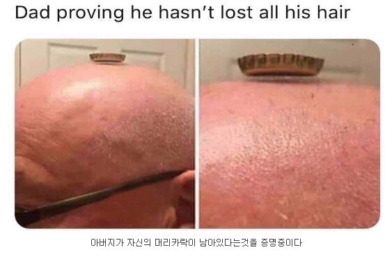 모그니토_1.jpg