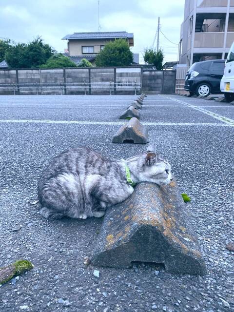 주차장 방지턱의 의외의 용도._5.jpg