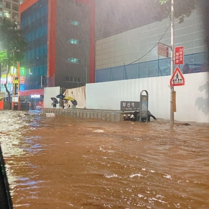 머여 부산 ㄷㄷㄷㄷㄷㄷㄷㄷ_1.jpg