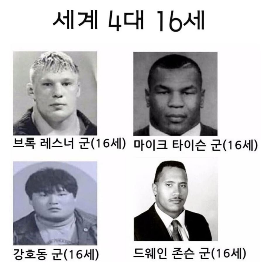 고증 쩌는 만화_2.jpg
