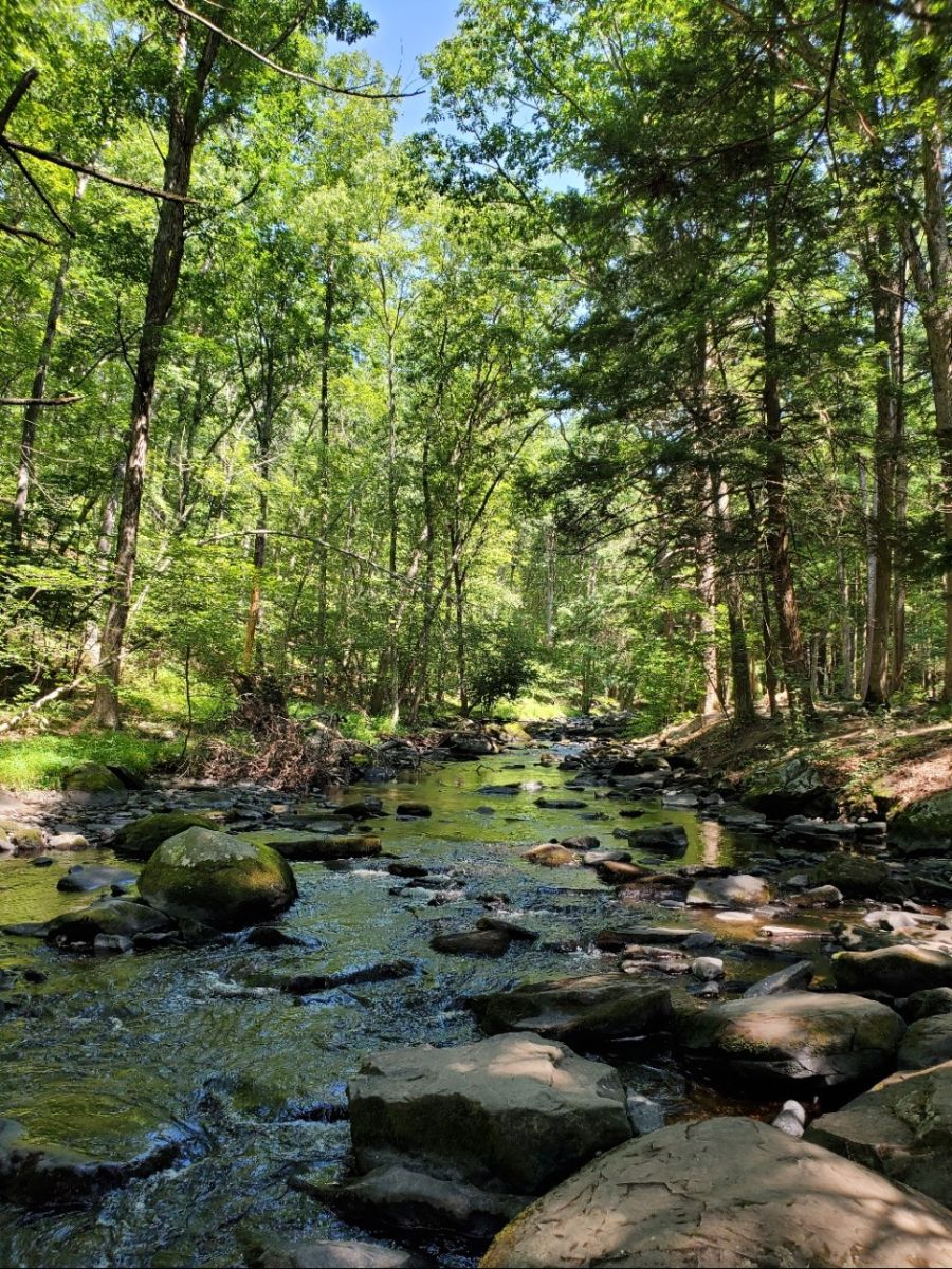 코로나 대처에는 캠핑밥이 최고죠!_12.jpg