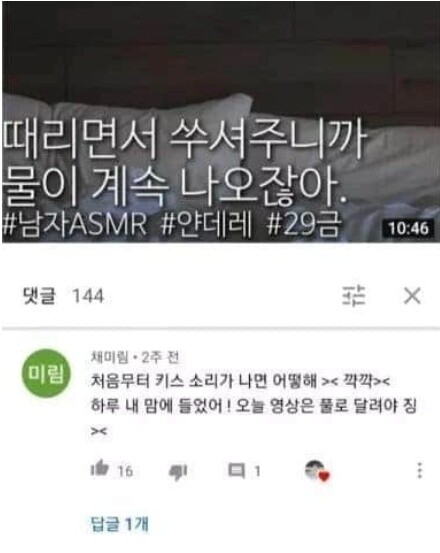 19) 여성향 asmr에 달린 댓글.jpg_4.jpg