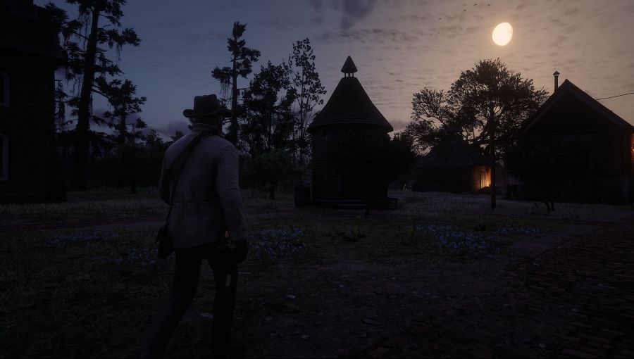 Red Dead Redemption 2 Screenshot 2020.06.10 - 21.22.53.54.png