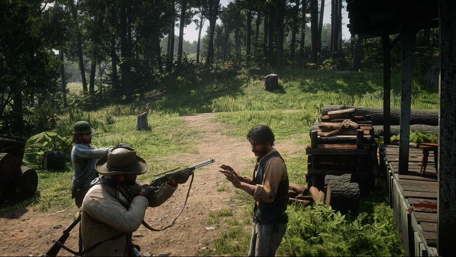 Red Dead Redemption 2 Screenshot 2020.06.10 - 23.06.41.78.png