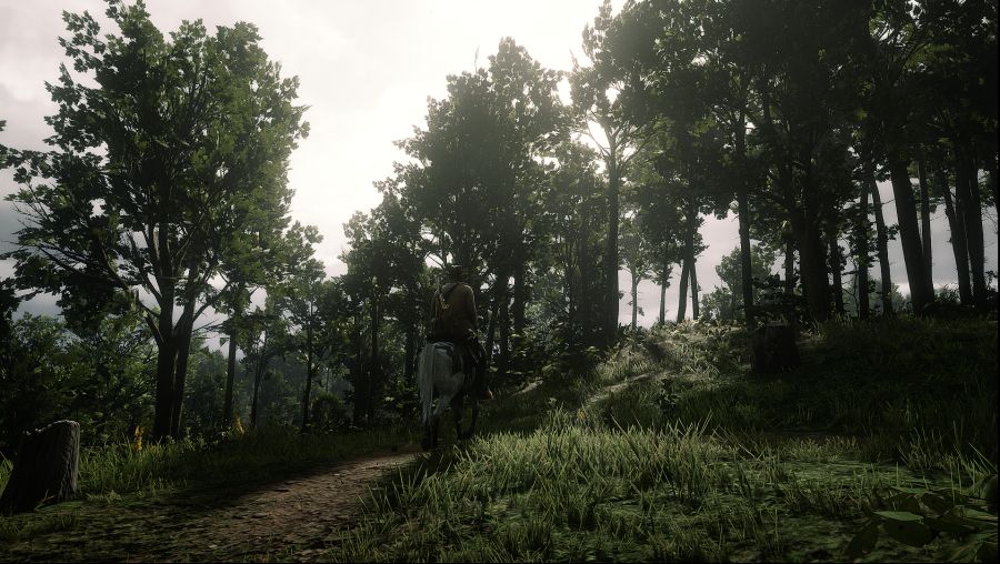 Red Dead Redemption 2 Screenshot 2020.06.10 - 23.27.53.01.png