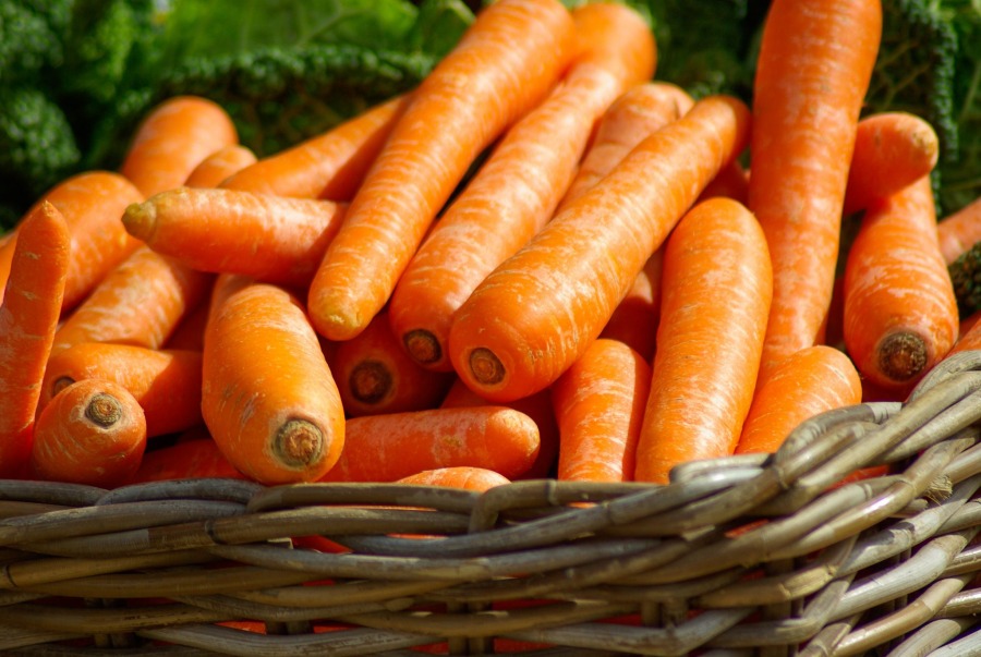 carrots-close-up-orange-37641.jpg