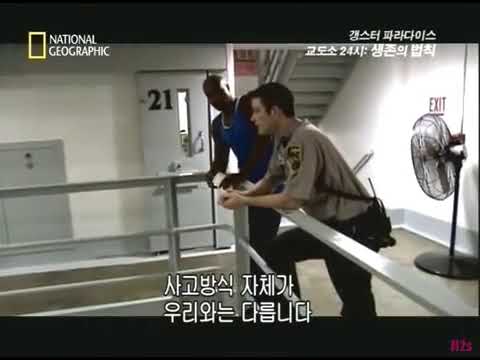 북한 항구들은 '과부 마을'로 불린다..중국 어선들 때문에_3.jpeg