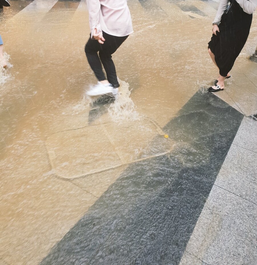 강남역 근황_3.jpg