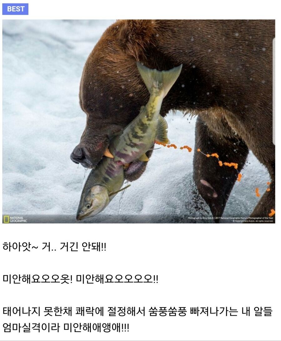 디씨인사이드분들 제발 그만해주세요!_1.jpg
