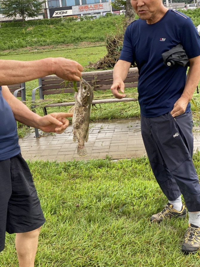 물에 잠겼던 대전 산책로 근황.jpg_1.jpg