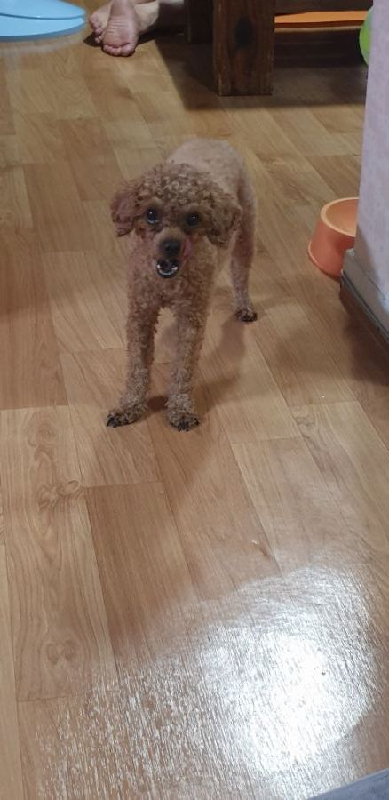 후방)와따시 탄생 기념일로 짤뿌린다._3.jpg