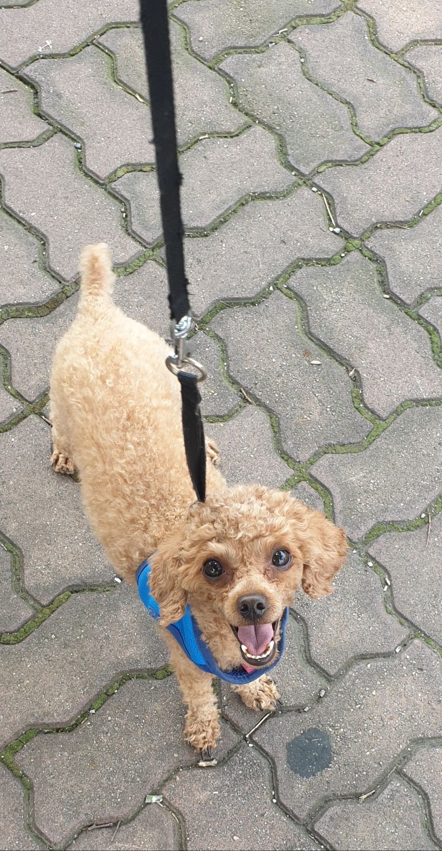 후방)와따시 탄생 기념일로 짤뿌린다._4.jpg