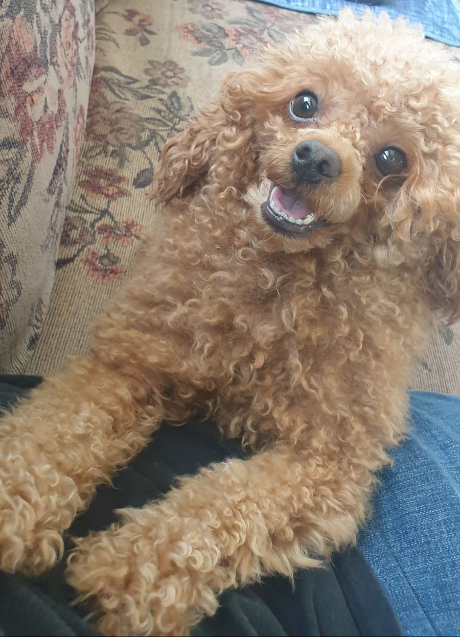 후방)와따시 탄생 기념일로 짤뿌린다._5.jpg