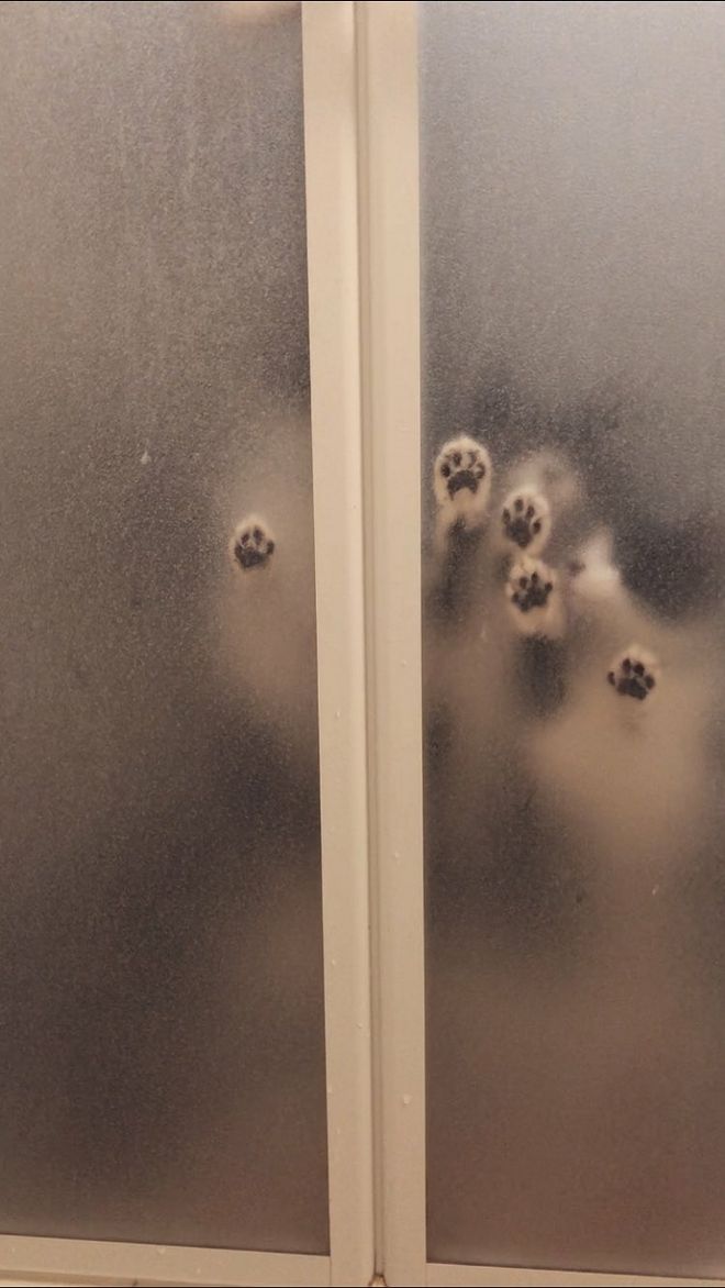 충격,공포주의) 욕실에 있는 당신을 노리는 무시무시한 괴수 gif_1.jpg