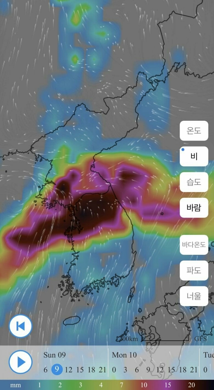 일요일 오전 강수 예측.jpg_1.jpg
