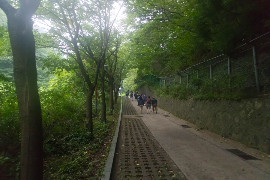 갇혔어요! 풍랑의 섬 - 3박 4일 울릉도 여행기 (3, 4일 차)_6.jpg