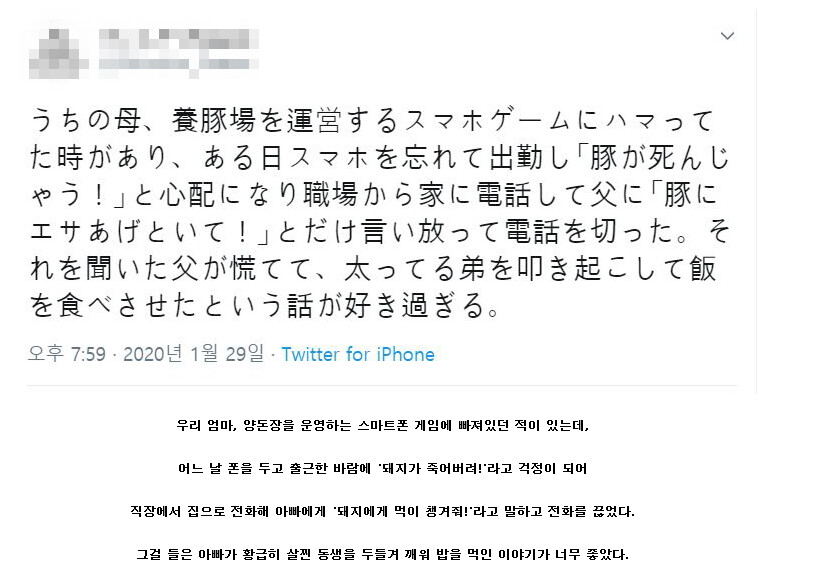 Screenshot_2020-08-12 돼지 농장 게임에 푹 빠진 엄마 유머 게시판 루리웹.png