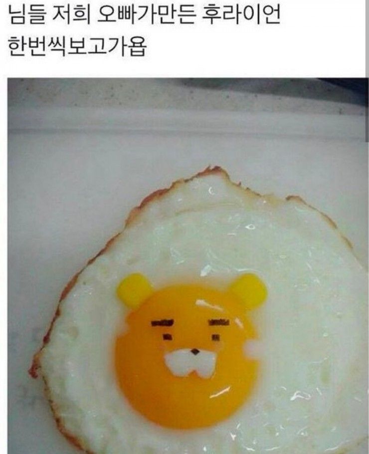 후라이언.jpg_1.jpg