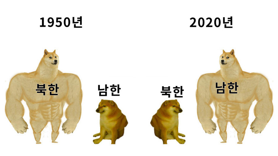 시대에 따라 변화하는 강아지 밈 근황.jpg_4.jpg