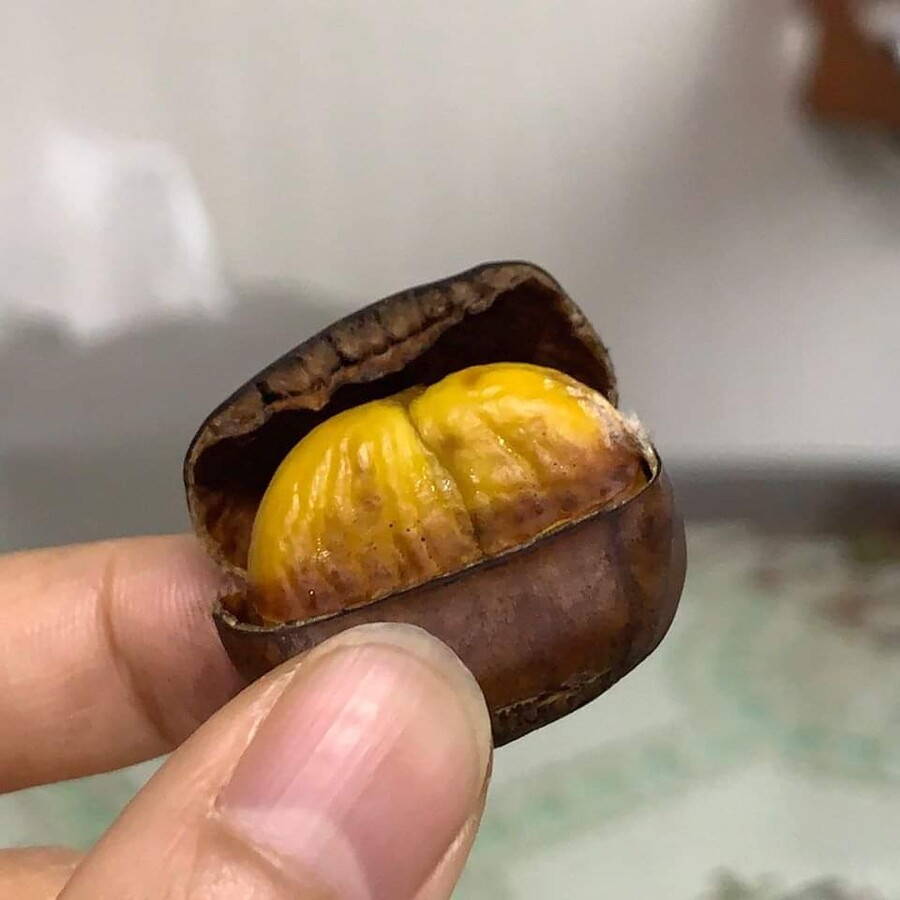 에어밤 프로_1.jpg