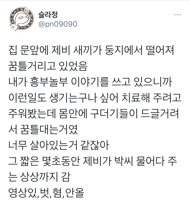 슬라정 근황_1.jpeg