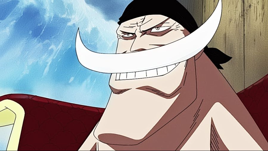 원피스) 패왕색 패기 보유자들_1.jpg