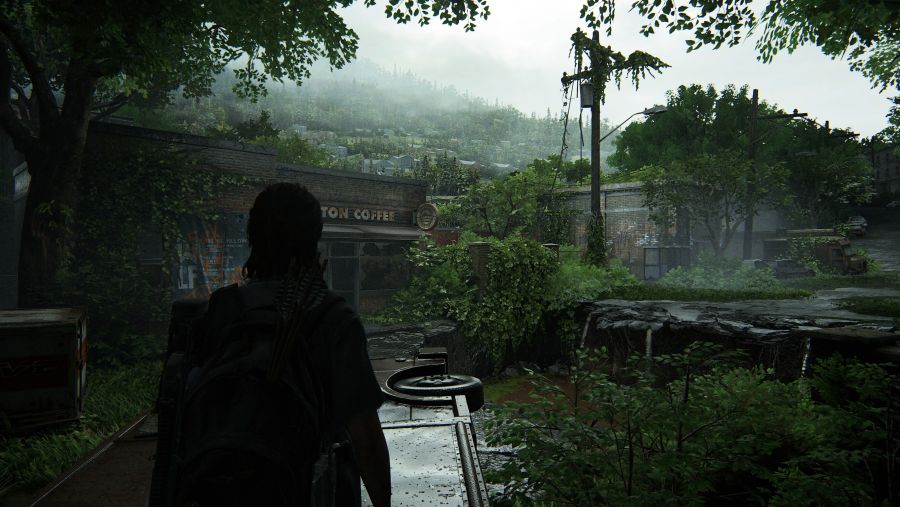 The Last of Us™ Part II_20200816091041.jpg