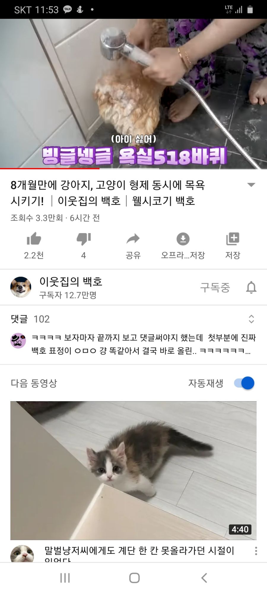이웃집의 백호 채널 자막이 좀 이상한듯_1.jpg