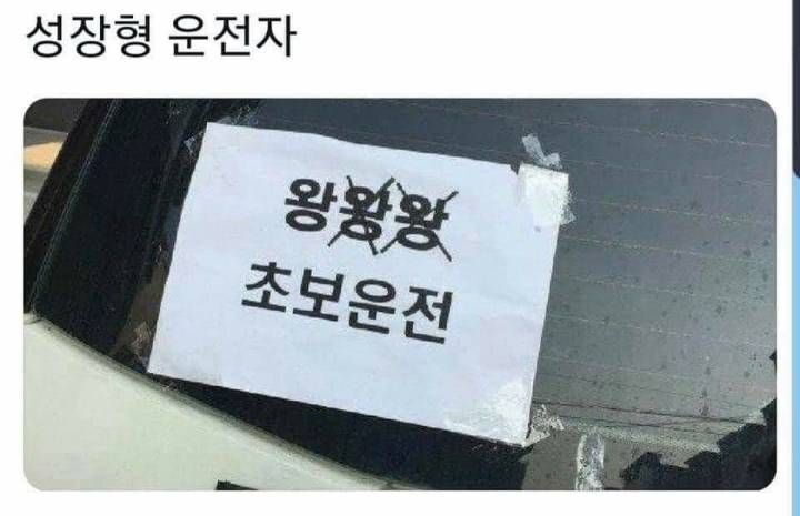 성장형 드라이버.jpg_1.jpg