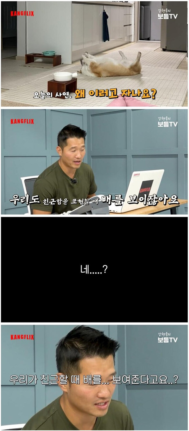 드디어 정체를 들어낸 개통령_1.png