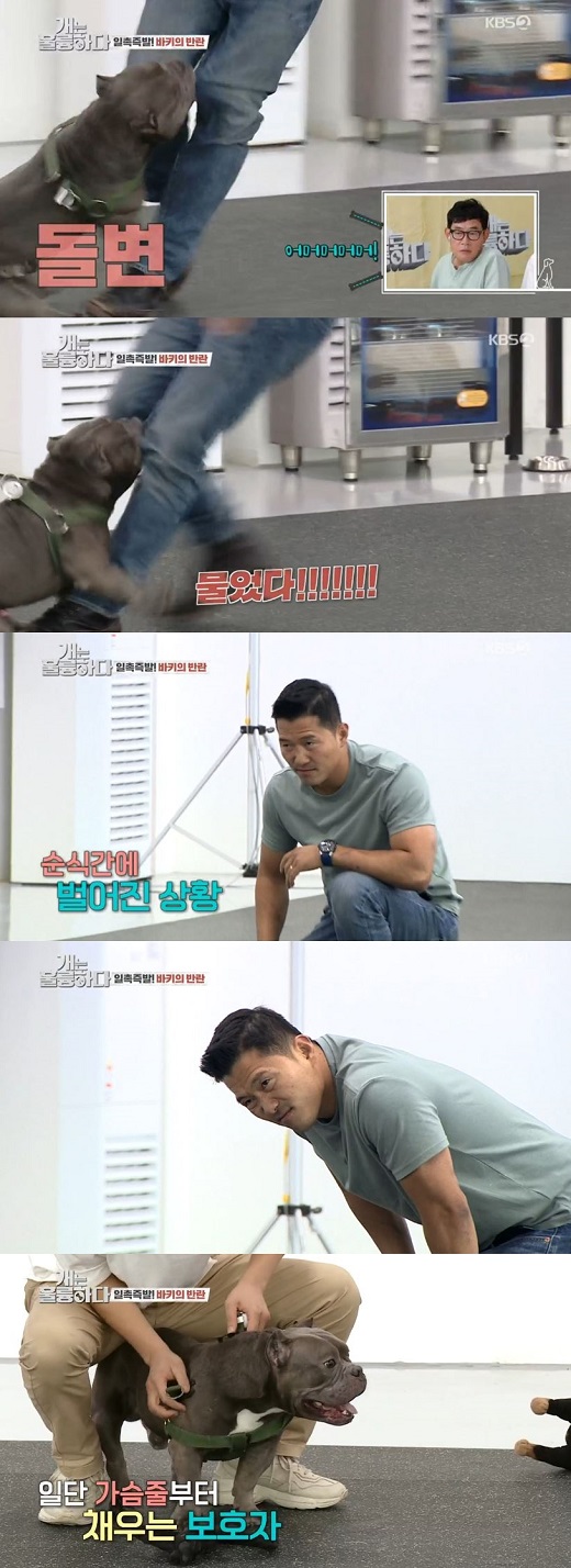 강형욱이 개가 아니라는 증거.jpg_1.jpeg