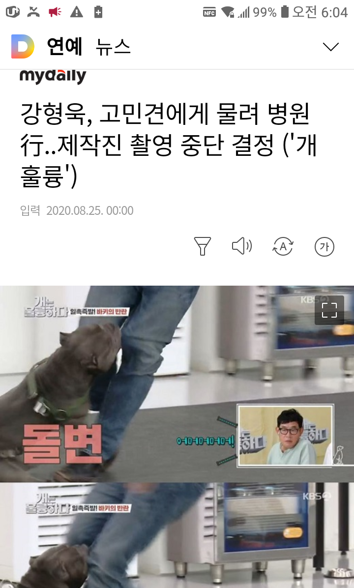 개에게 물린 개통령.JPG_1.png