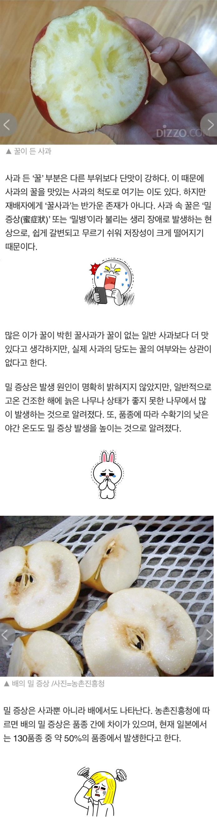 사과 속에 있는 "꿀"의 정체_1.jpg