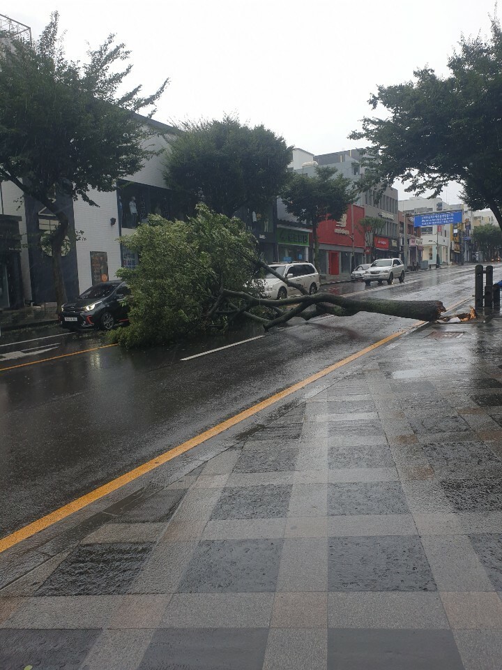 (태풍) 제주 근황_2.jpg