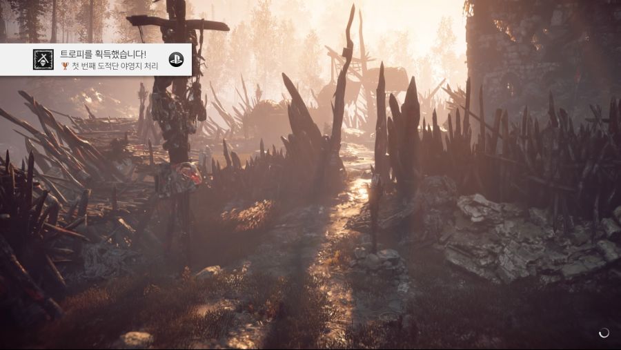 Horizon Zero Dawn™_ Complete Edition_20200725011318.jpg