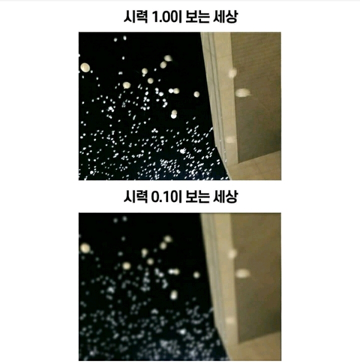 시력 1.0과 0.1이 바라보는 세상._1.jpg