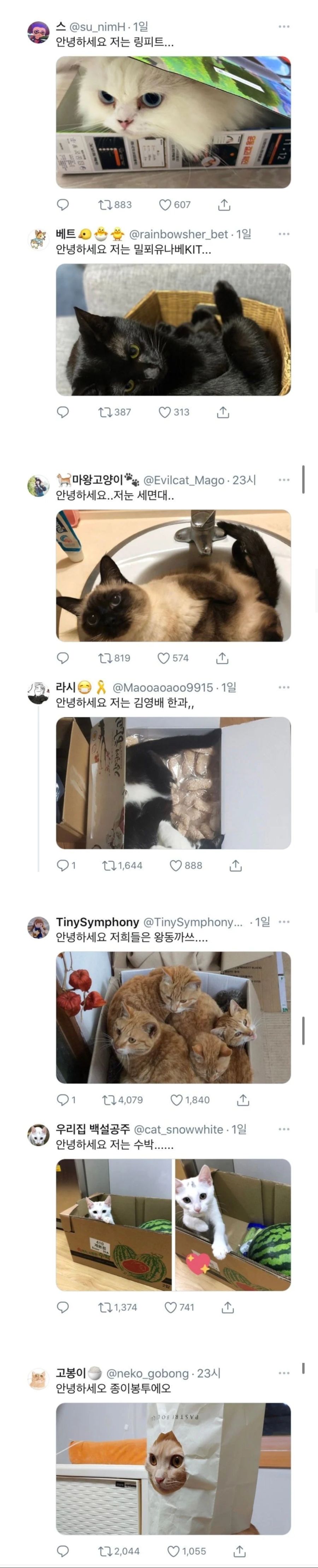 트위터 코리아 공식계정이 직접 박제해 논란된 타래;;;_2.jpg