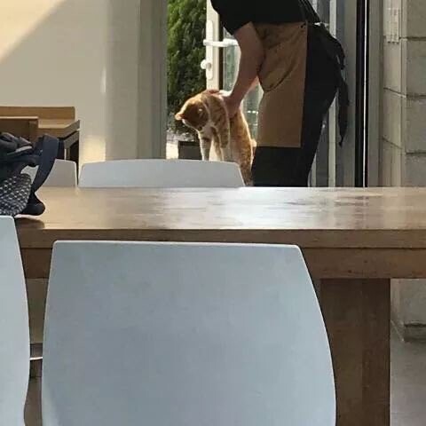 창문 개방 금지.jpg_4.jpeg