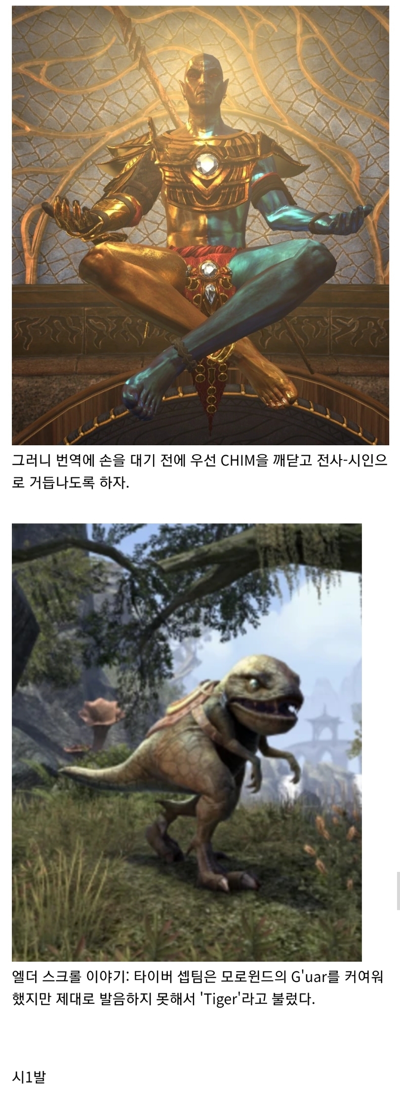 엘더스크롤) 번역은 반역이다.txt_7.jpg