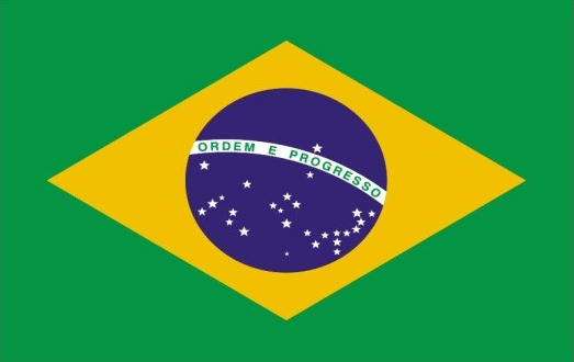 브라질-국기-지식백과.png