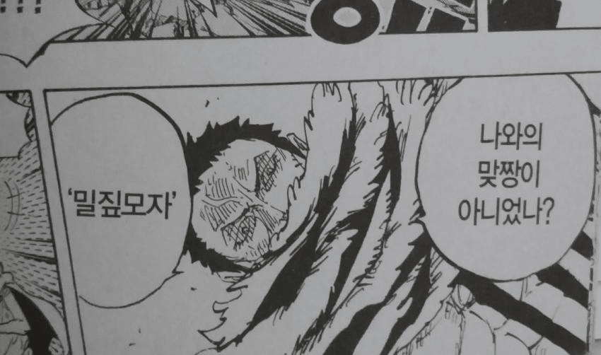 원피스 정발 vs 불법 스캔본 번역체 비교_1.png