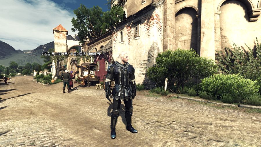 The Witcher 3 Screenshot 2020.09.05 - 18.52.46.86.png