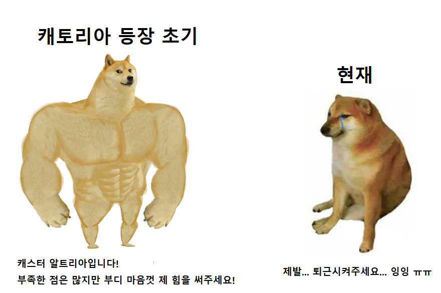 캐토리아.png